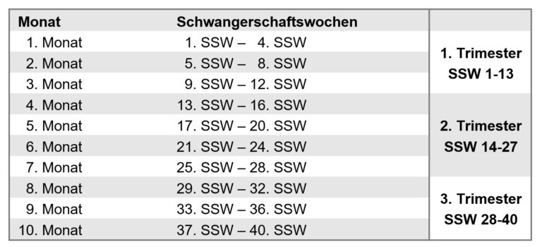 Schwangerschaftswochen und Monate Übersicht
